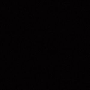 Meet your Posher, Shilo